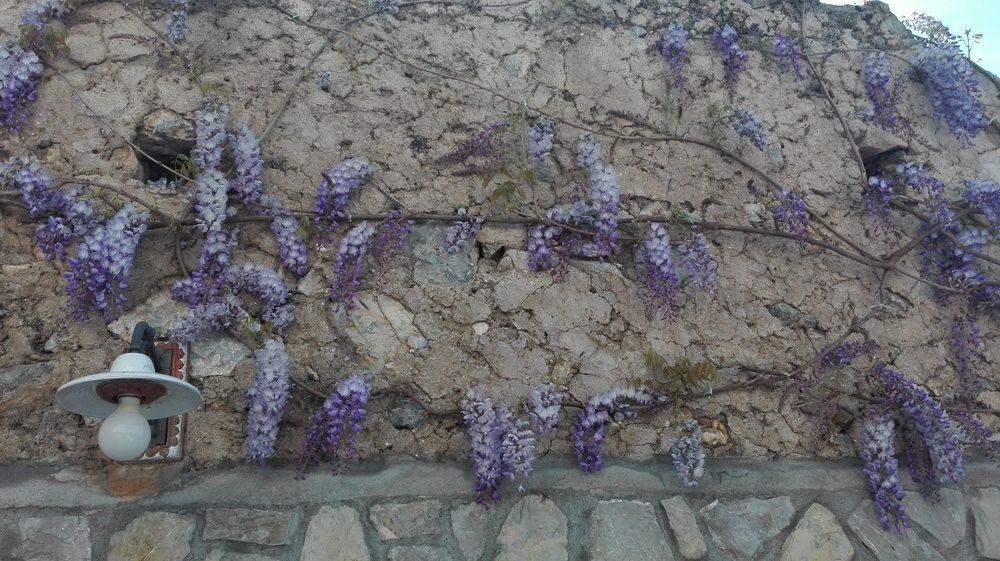 La Sorgente Del Sole Leilighet Positano Eksteriør bilde